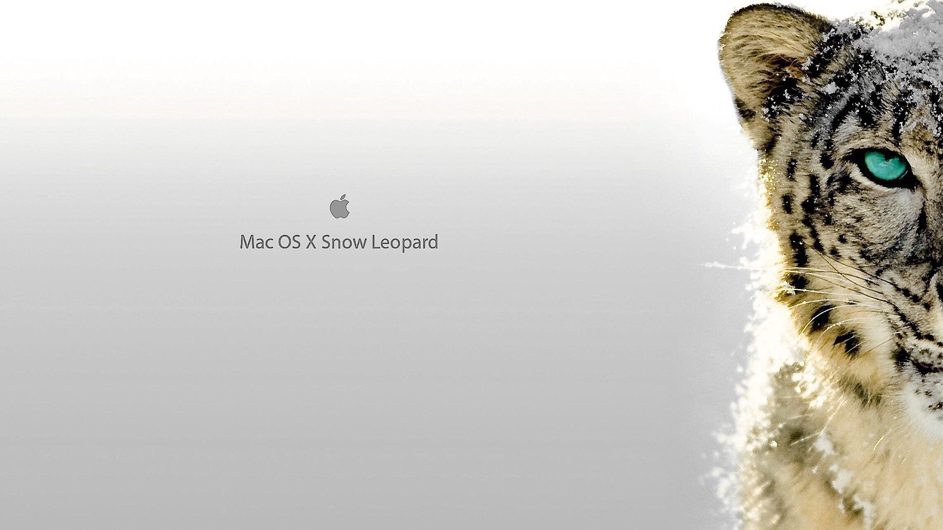Этот день в истории Apple: впервые представлена обновленная OS X Snow Leopard