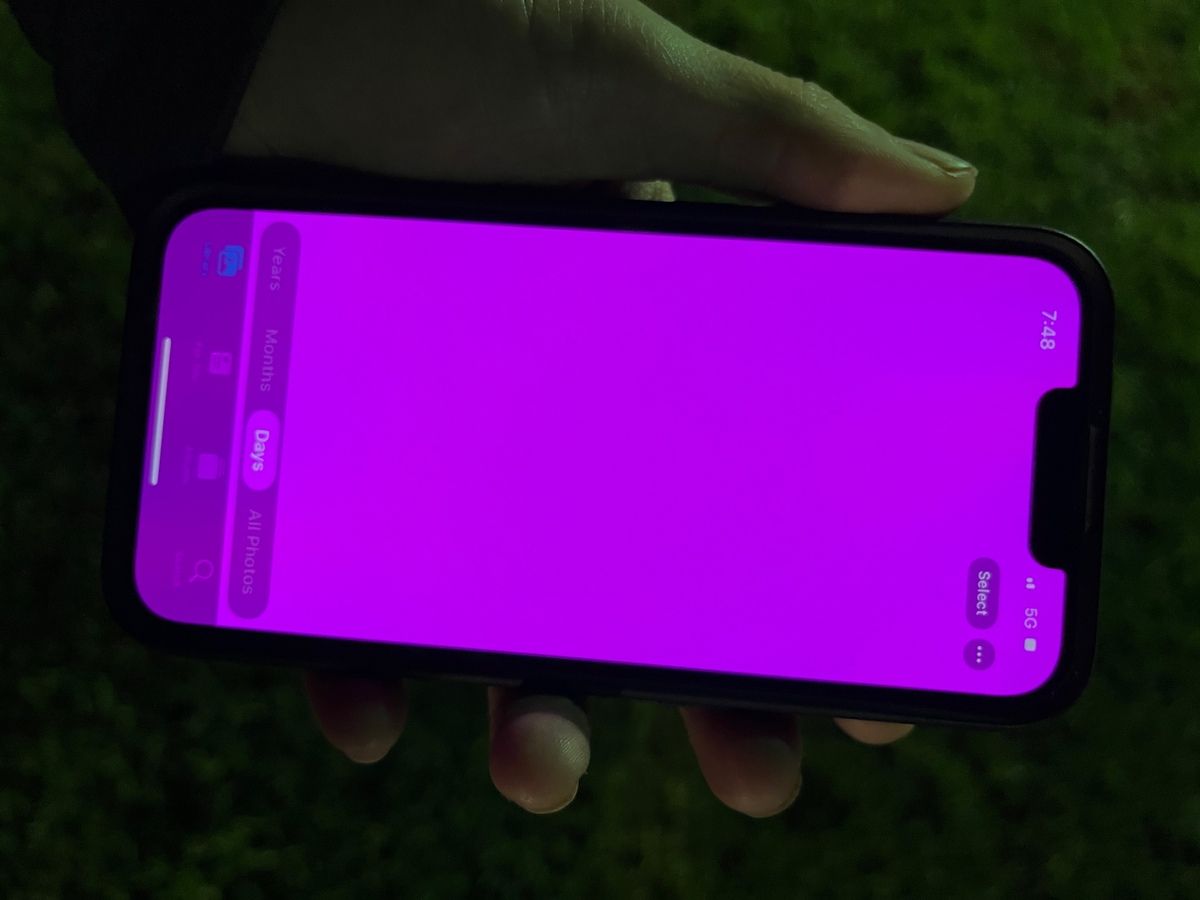 Экран китайских iPhone 13 светится розовым — Apple подтверждает ошибку
