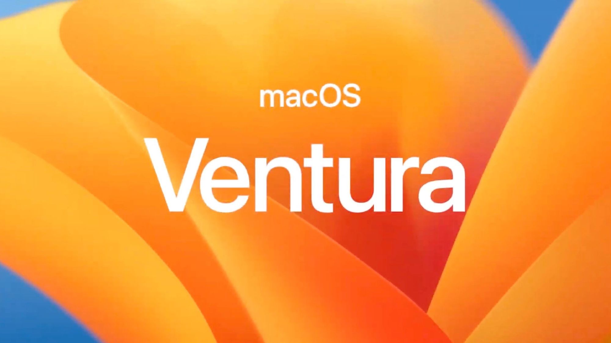 Новое в macOS Vetura: фоновый звук для концентрации внимания