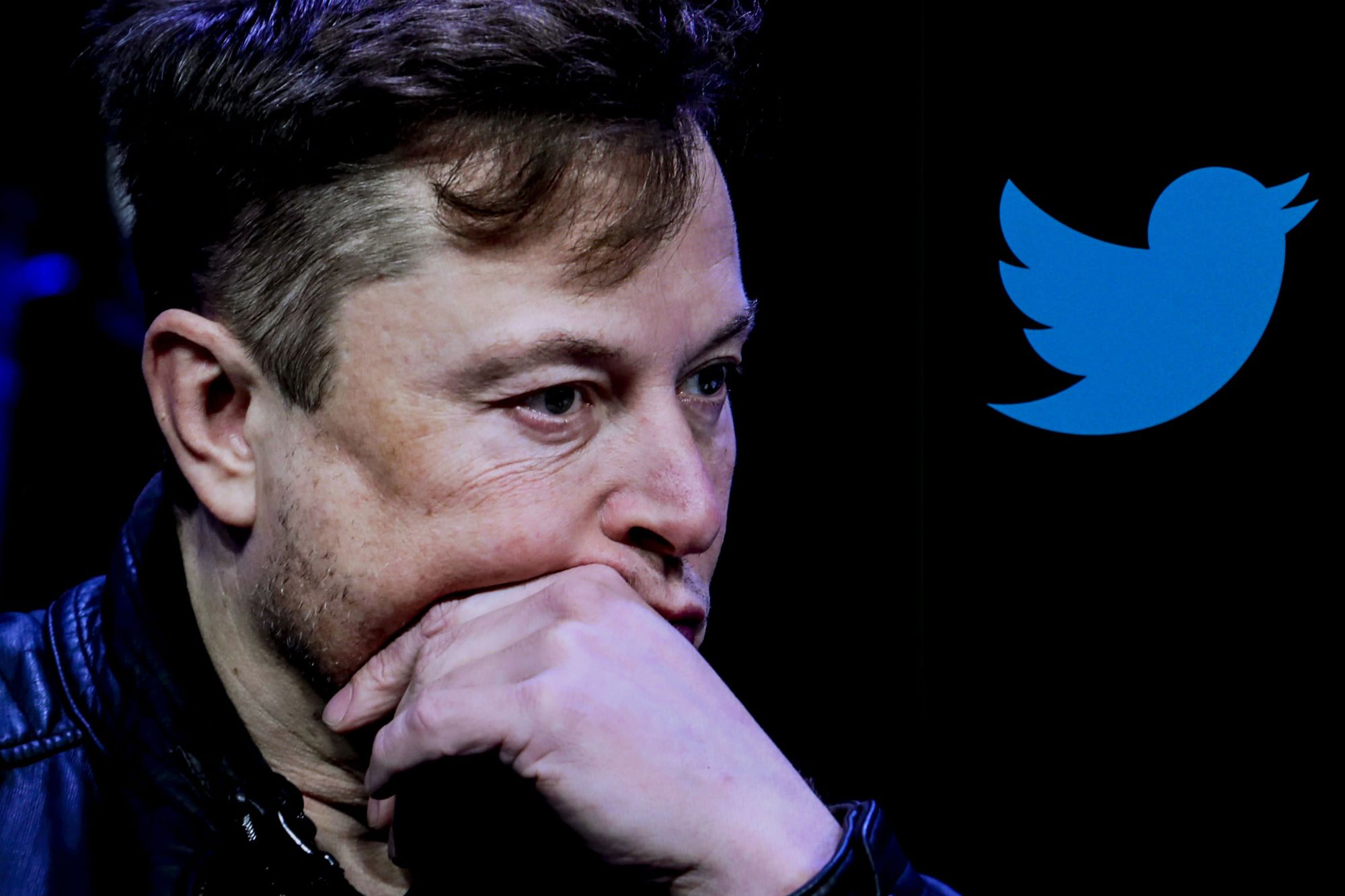 Илон Маск намерен уволить четверть сотрудников Twitter