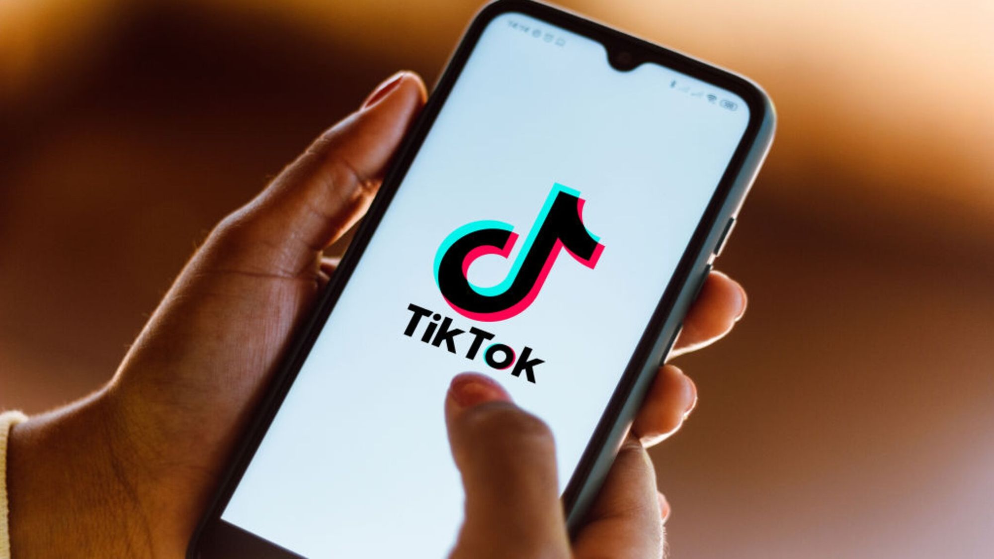 В России отказались выделять гранты на отечественные аналоги TikTok и Instagram*