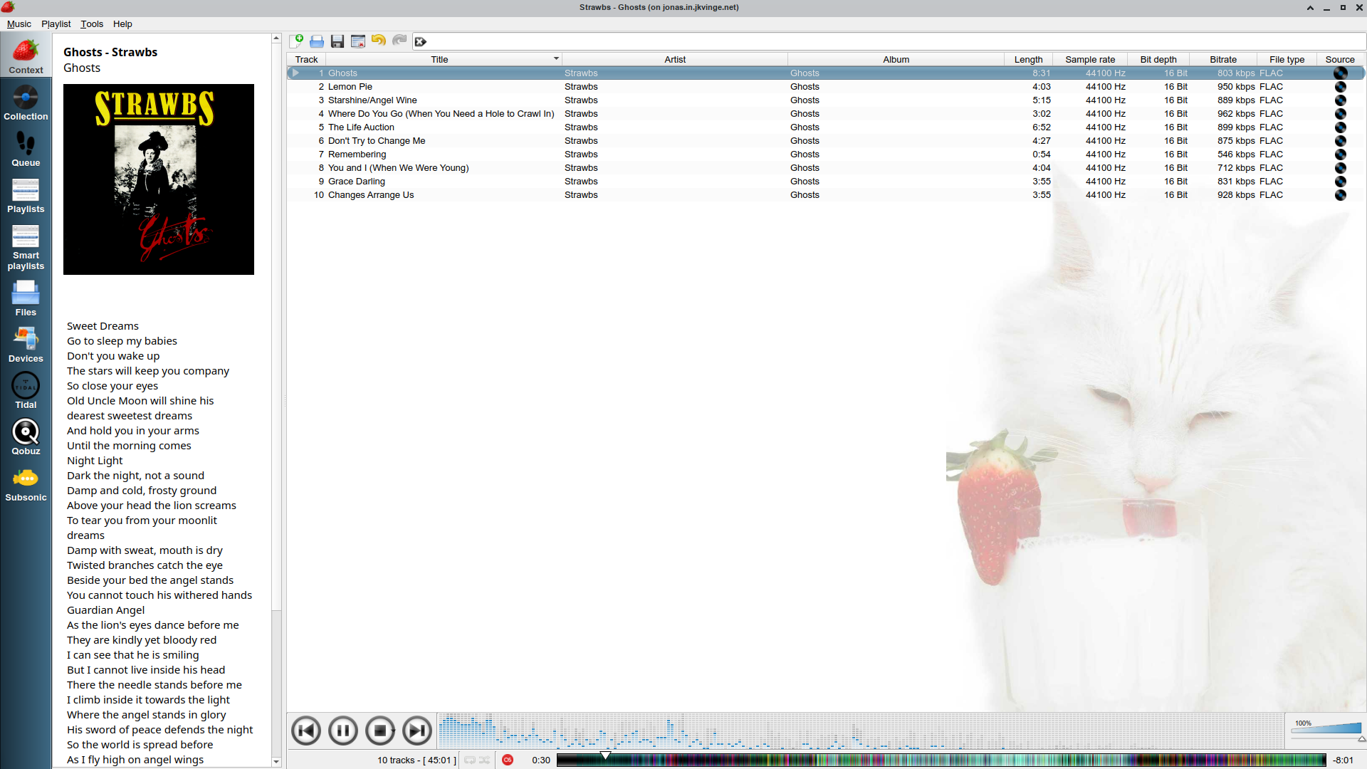 Strawberry Music Player: Олдскульное приложение для музыкальных коллекционеров