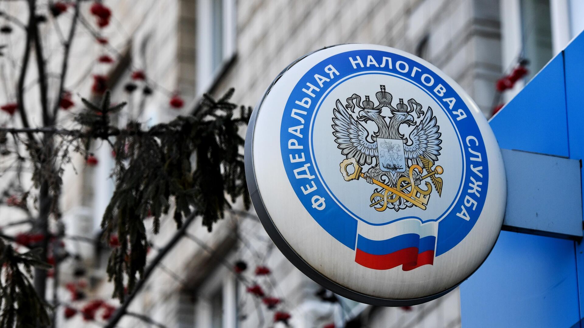 ФНС может стать регулятором криптовалют в России