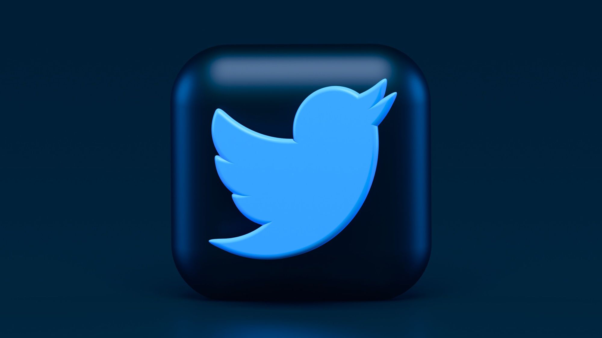 В Госдуме снова просят разблокировать Twitter