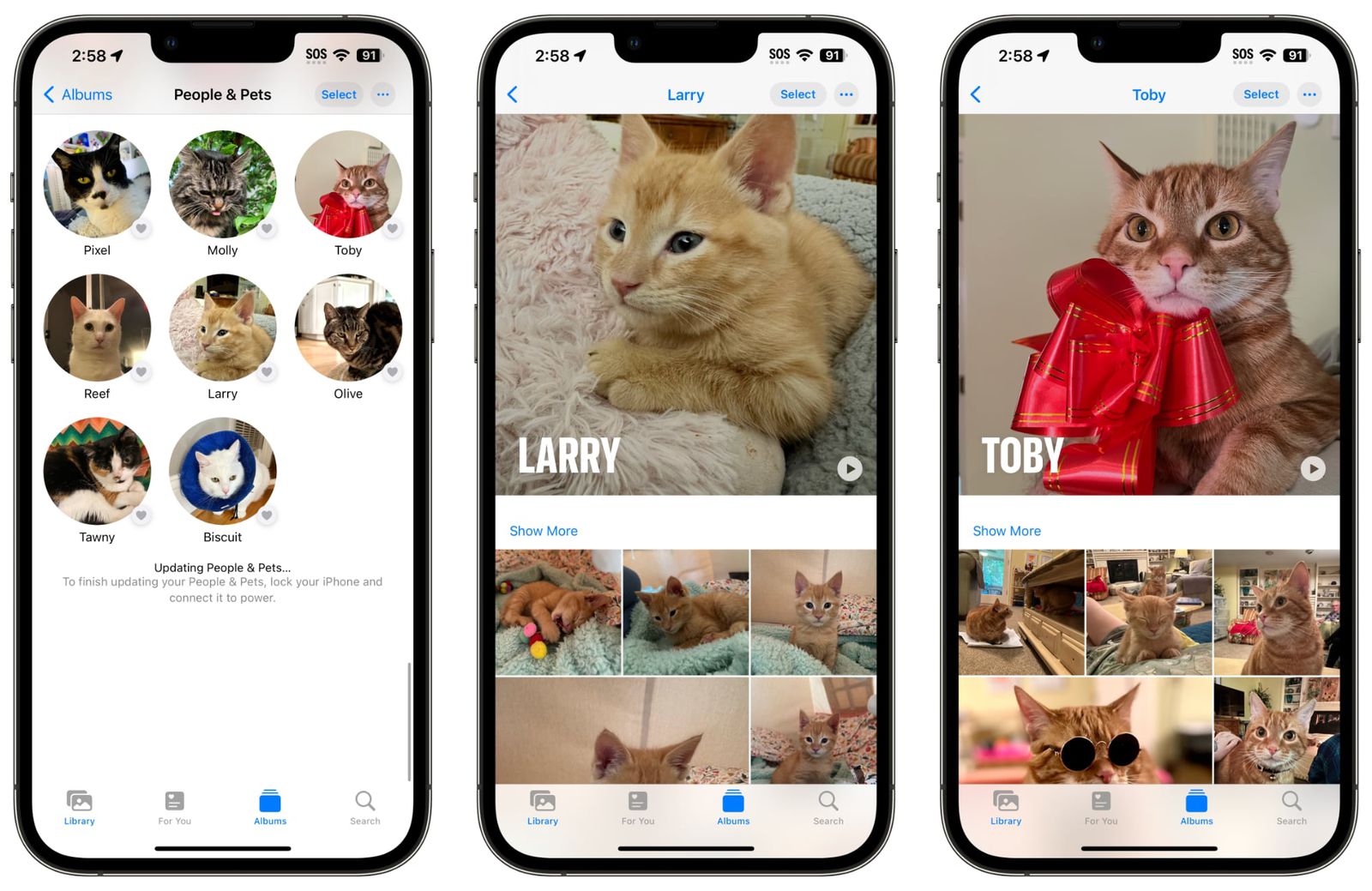 Приложение «Фото» в iOS 17 распознает ваших домашних животных
