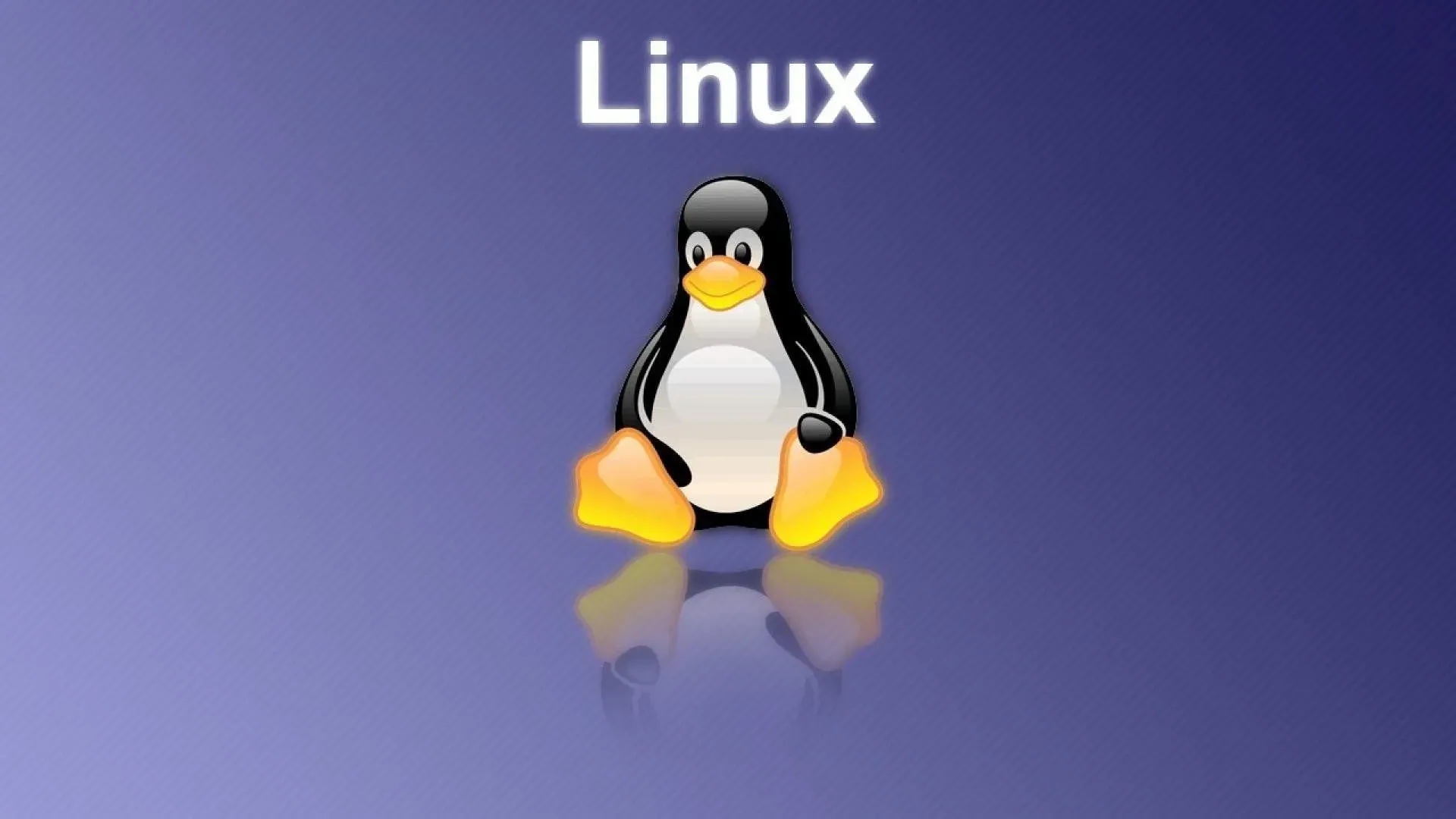 Доля Linux в настольных ПК достигла рекордных 3% — на это потребовалось 30 лет