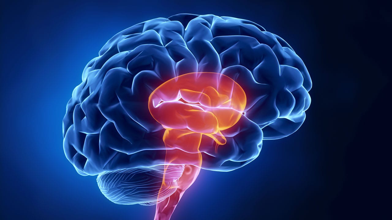 Учёные разработали технологию для быстрой диагностики сотрясения мозга