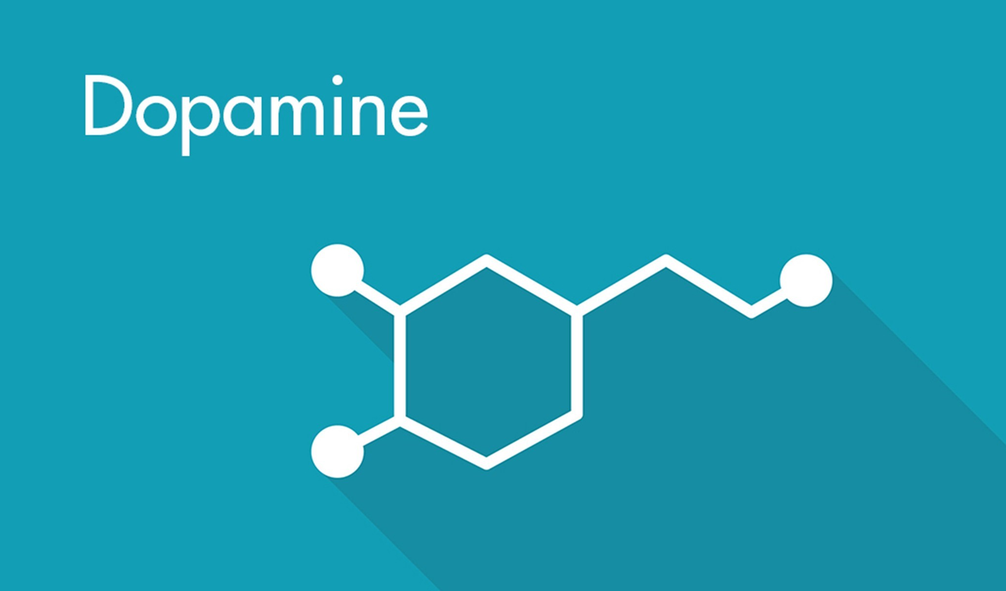 Учёные детально исследовали дофамин: он помогает человеку расти и меняться