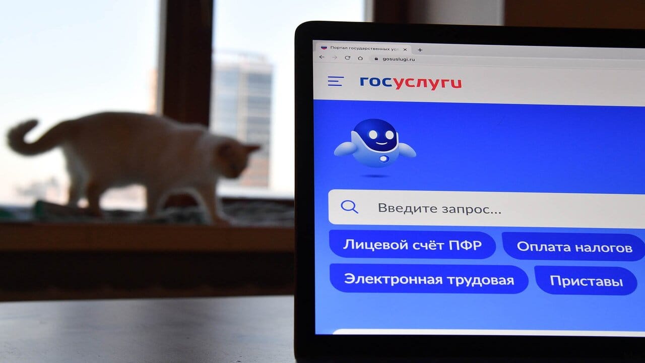 Минцифры РФ запустит чат с технологией ИИ на портале «Госуслуги»