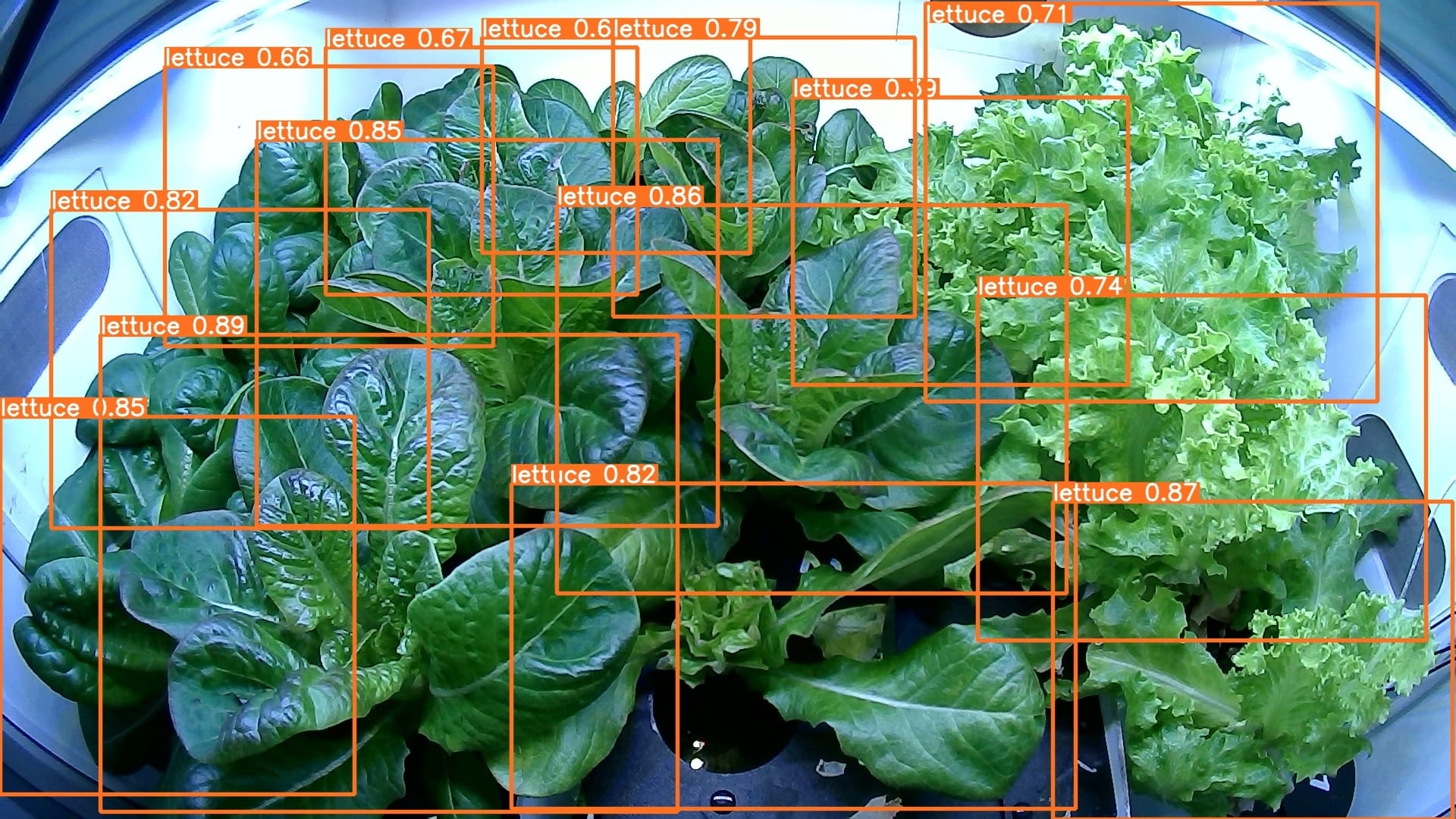 Домашняя микроферма AGWA с ИИ: свежие овощи и зелень в городских квартирах