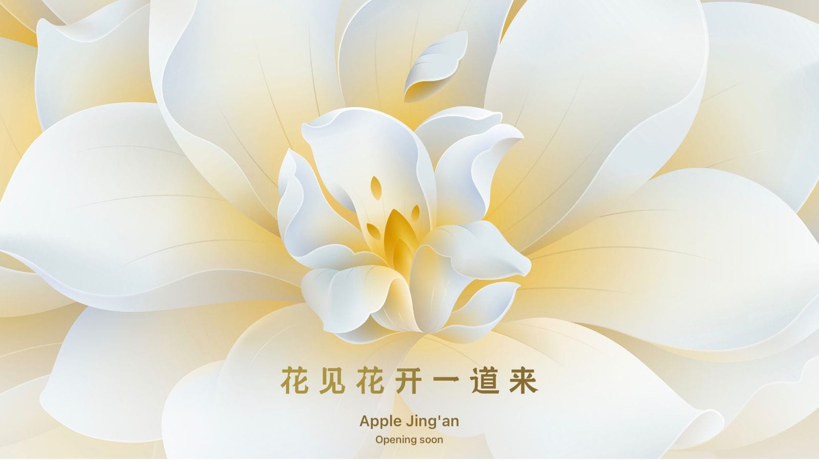 Восьмой розничный магазин Apple в Шанхае откроется в этом месяце