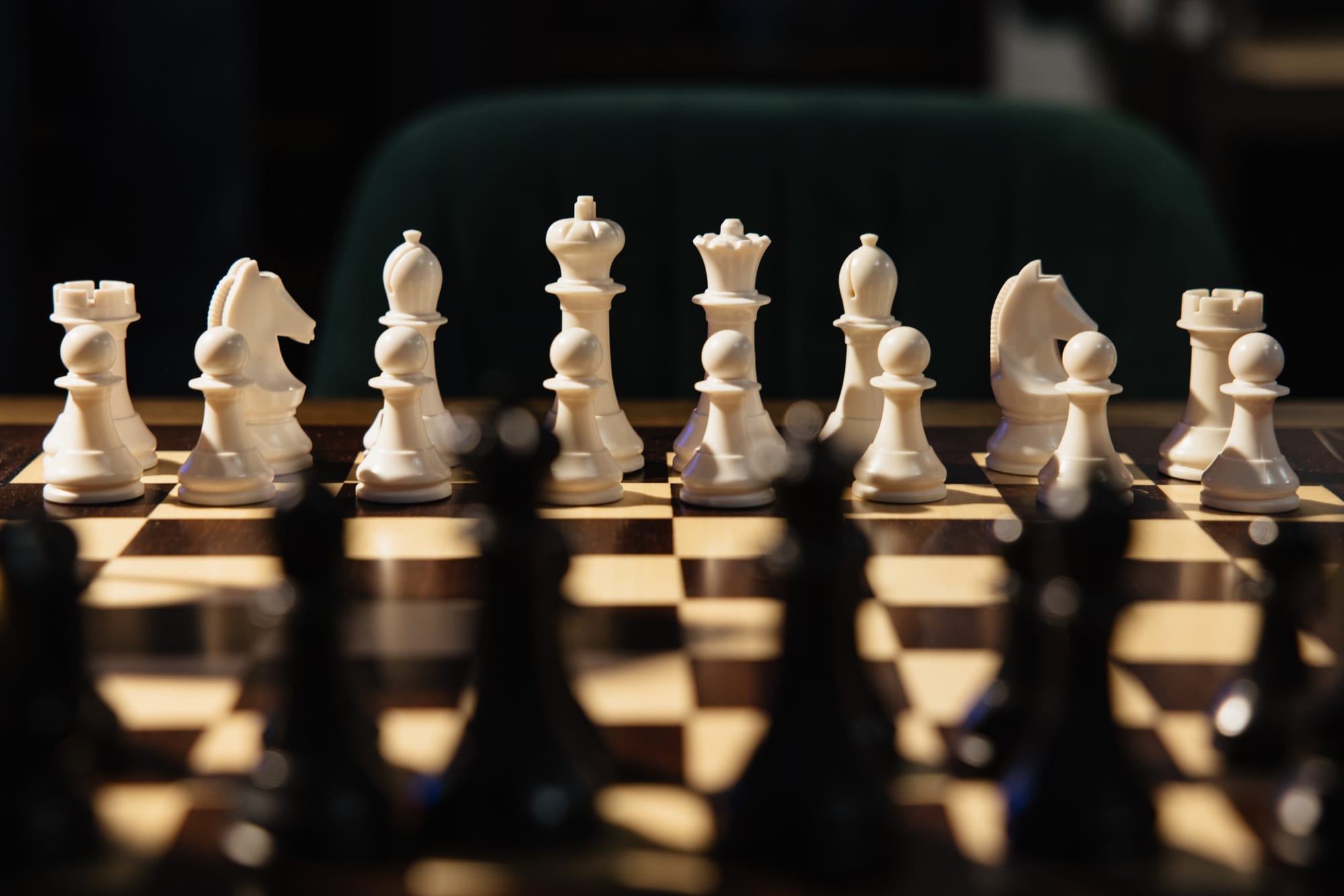 В России запущена платформа myChess — первая отечественная шахматная экосистема