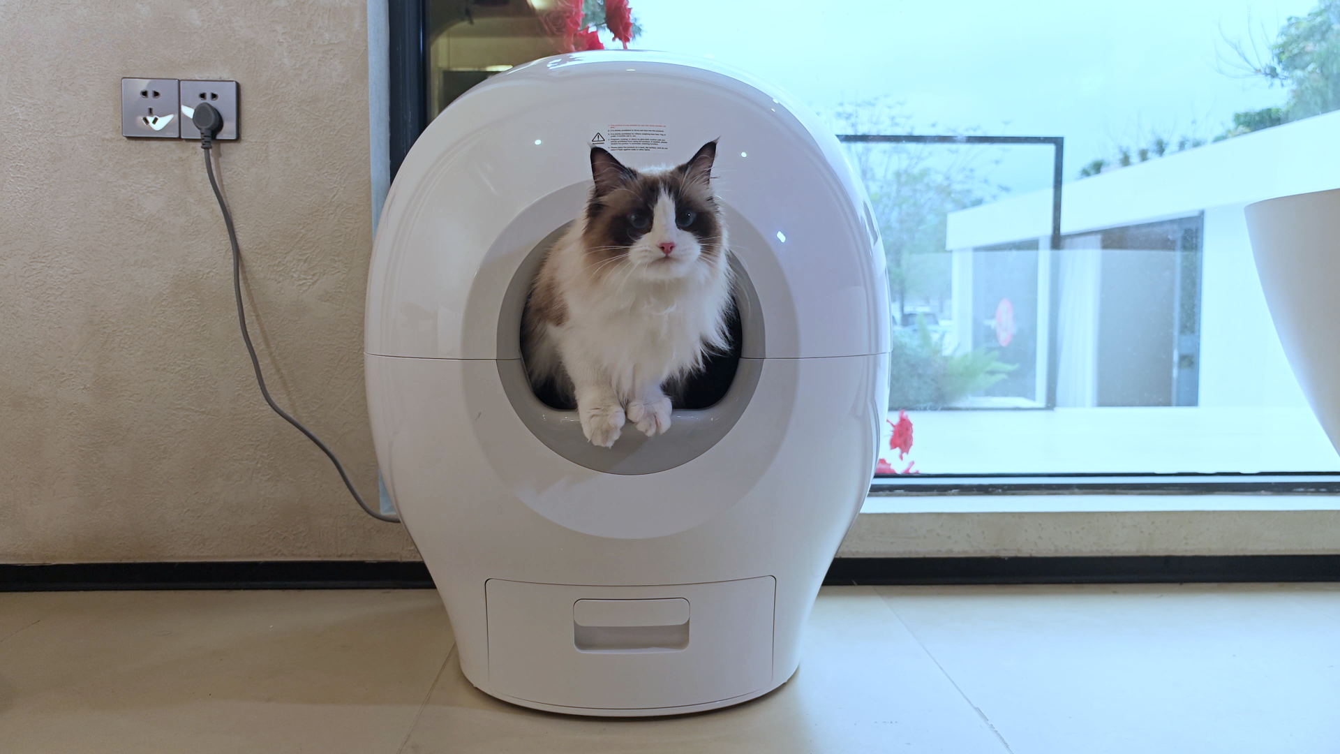 Новый уровень ухода за домашними питомцами: PETGUGU – первый «умный» туалет для кошек