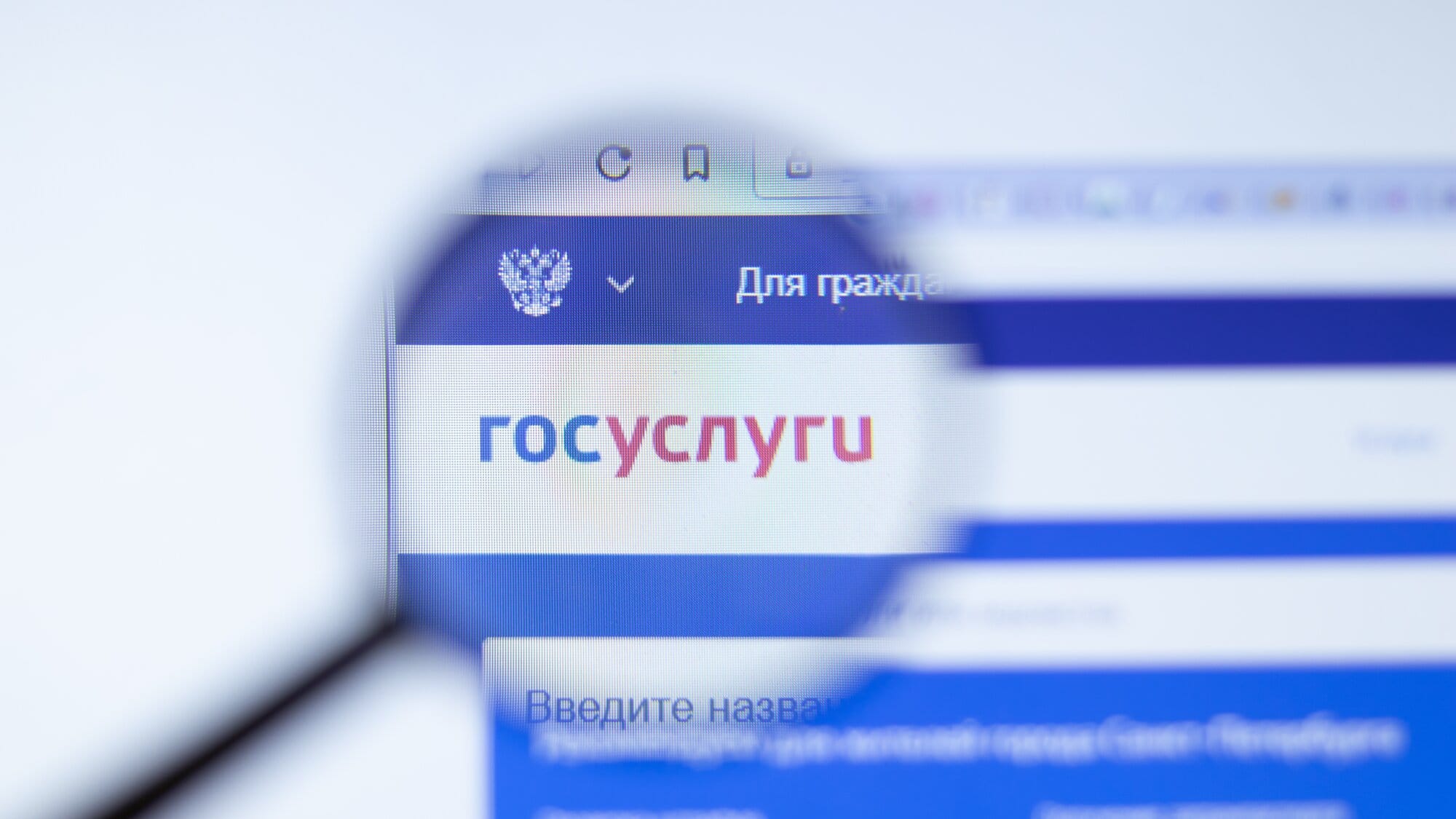 Российские власти хотят упростить для граждан процесс отказа от обработки персональных данных