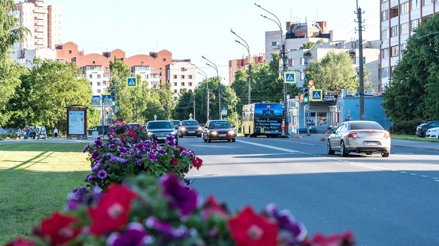 Сестрорецкий курорт обновил мобильный интернет