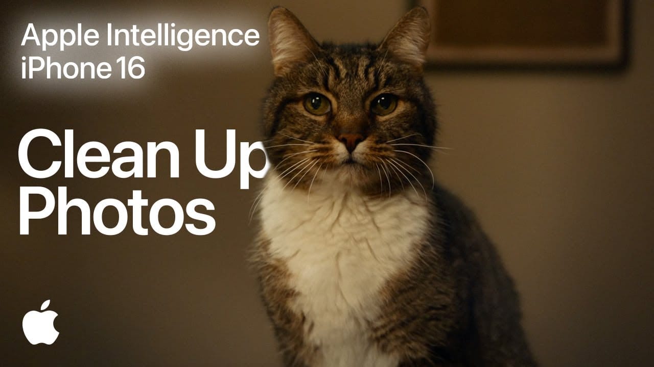 Apple выпустила рекламу с удалением кота из фото, чтобы показать функцию «Очистка» на iPhone 16