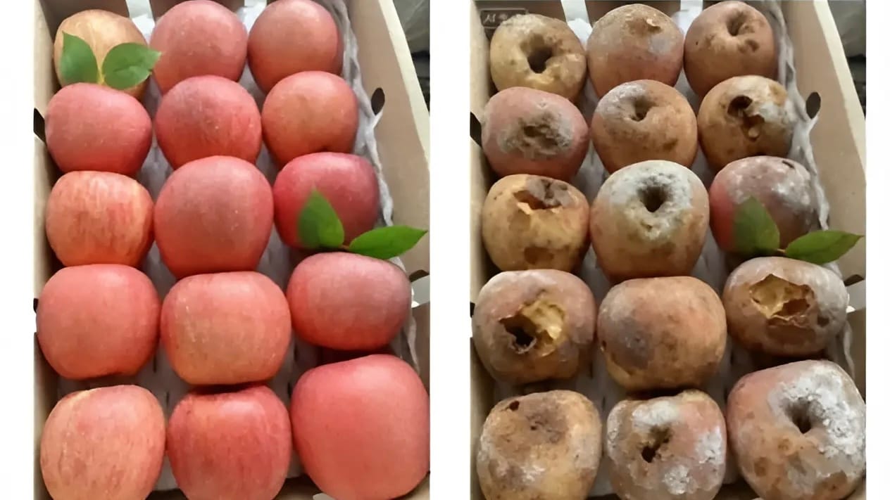 Фейковый брак, реальные убытки: как ИИ помогает мошенникам грабить онлайн-магазины в Китае