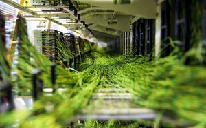 Роскомнадзор планирует заняться контролем поисковиков и VPN-сервисов