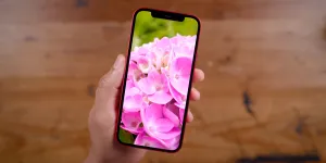 Apple намерена опередить Samsung, став основным покупателем дисплеев AMOLED в 2021 году