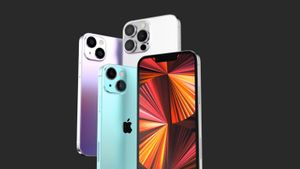 Apple зарегистрировала iPhone 13 в ЕЭК