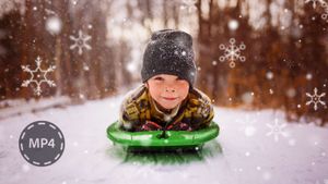 Adobe выпустила Premiere и Photoshop Elements 2022