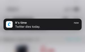 Цирк! Основатель приложения Coursicle начал рассылать студентам странные уведомления