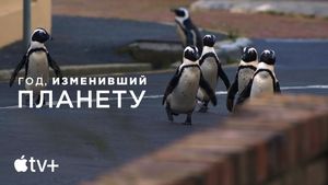 Документальный фильм Apple TV+ «Год, изменивший планету» получил награду Television Academy Honors