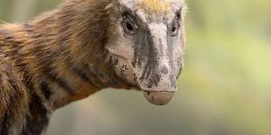 Apple выпустила полноценный трейлер сериала «Доисторическая планета»