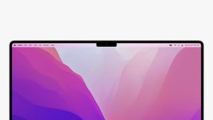 «Чёлка-помощник»: в App Store появилось приложение для выреза на новых MacBook