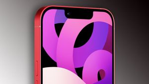 Компания BOE получила разрешение на производство OLED-панелей для iPhone 14