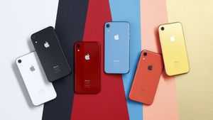 Слух: Следующее поколение iPhone SE будет иметь тот же форм-фактор, что и iPhone XR