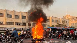 Власти США обратились к Илону Маску по поводу передачи Starlink для Ирана