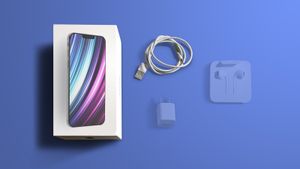 Бразильский суд оштрафовал Apple на $19 млн за продолжающиеся продажи iPhone без зарядного устройства