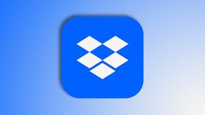 Dropbox не сможет синхронизироваться с внешними дисками на macOS