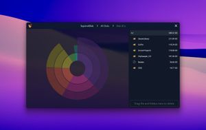 SquirrelDisk для Mac и PC поможет найти лишние файлы на диске