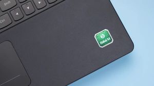 В России могут исчезнуть товары многих иностранных брендов