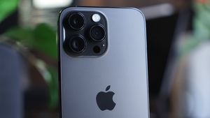 Несмотря на сокращение китайского рынка смартфонов, Apple продолжает наращивать обороты