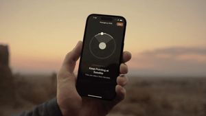 iPhone 14 спас семью оказавшуюся в зоне лесных пожаров на острове Мауи