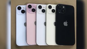 В Сети появились фотографии макетов iPhone 15