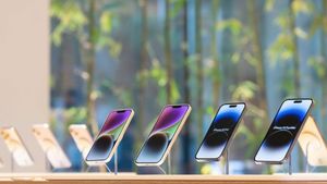 Воровка решила, что iPhone того стоит, и перегрызла защитный кабель