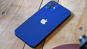 Во Франции вернулся в продажу iPhone 12 после выпуска iOS 17.1