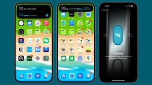 В бета-версии iOS 17.2 появилась опция перевода для кнопки действия