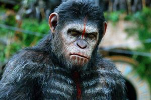 20th Century выпустила трейлер «Планеты обезьян: Королевство»