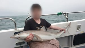 Суд признал хакера, слившего материалы по GTA VI, неизлечимым и отправил в психиатрическую больницу