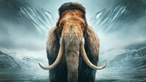 Учёные в ближайшие годы смогут «воскресить» вымершего мамонта