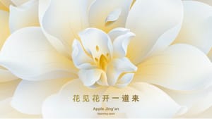 Восьмой розничный магазин Apple в Шанхае откроется в этом месяце