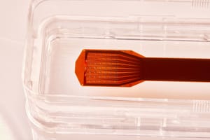 Конкурент Neuralink установил рекорд по числу мозговых чипов на мозге человека