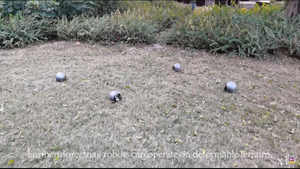 В Гонконге представили роботов-улиток, присасывающихся друг к другу для прохождения сложных препятствий