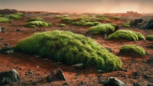 Китайские учёные обнаружили мох способный выживать на Марсе