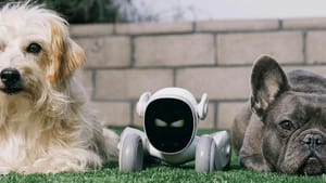 Очаровательный робот Loona появился на российском рынке